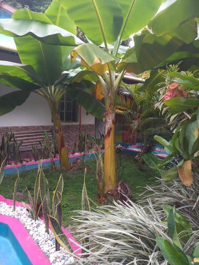 Eco-Cafe El Mirador Apartment Guachaca Exterior photo